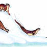 Sliding Otters