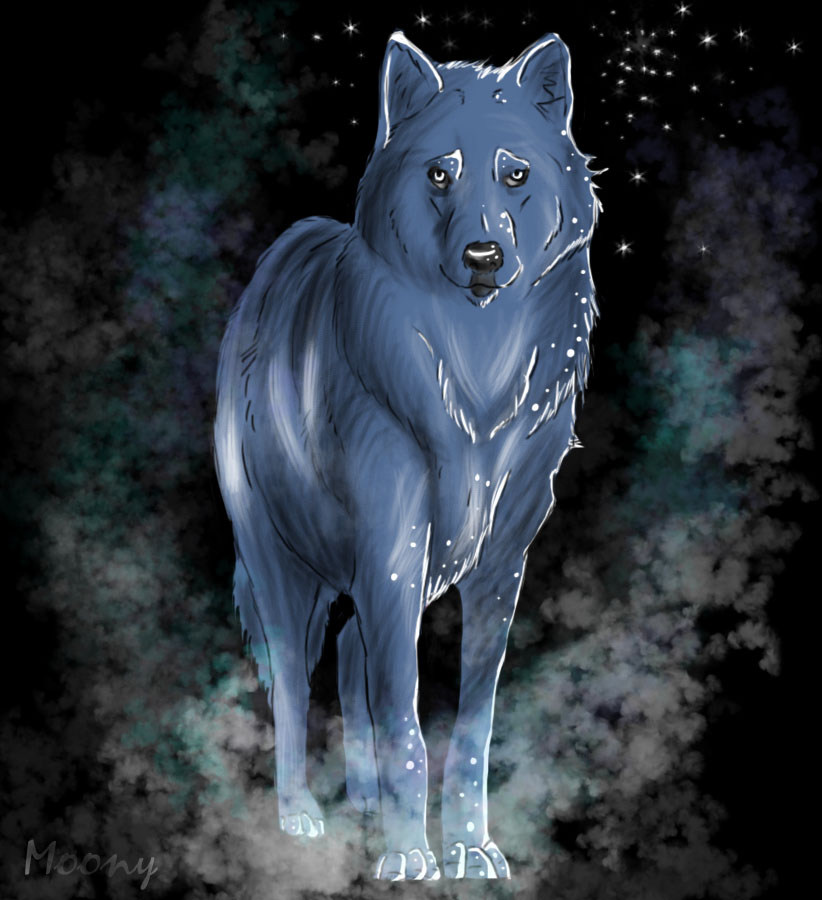 ART]•~Ice-Wolf._