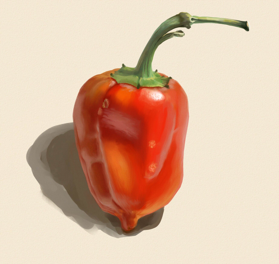 Study. Pepper2