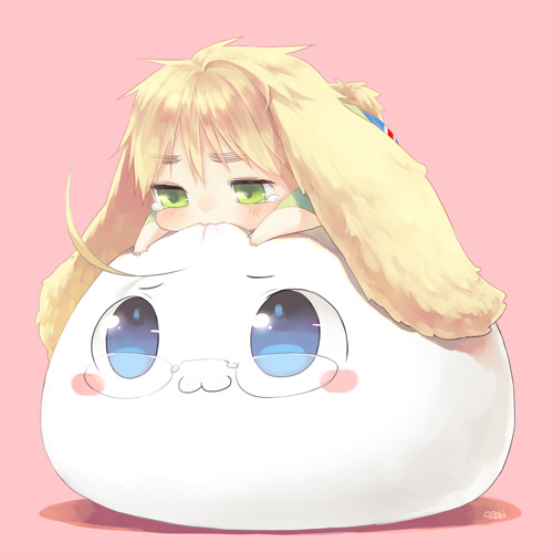 APH Pillow