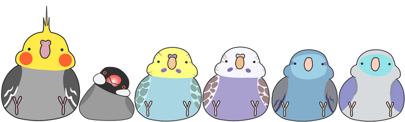 FAT BIRDS