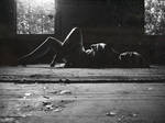 Syd Sil by ByrdsEyePhotography