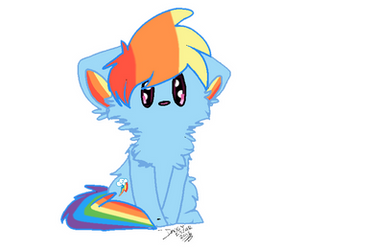 Rainbow Dash Cat