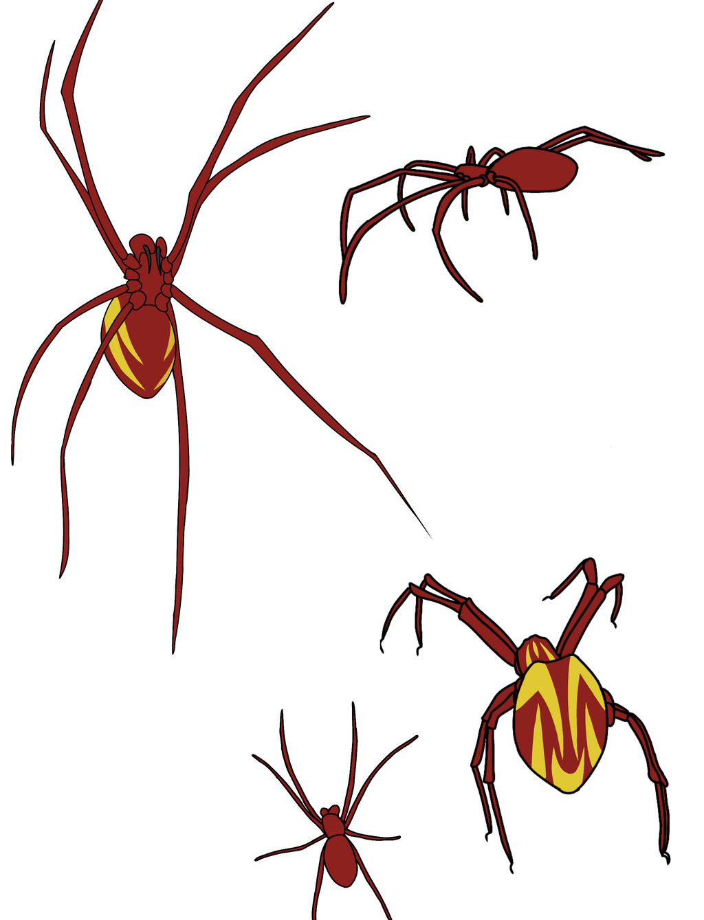 Spider Reference Spider Reference Sheet by TibetDrvilWasp on DeviantArt