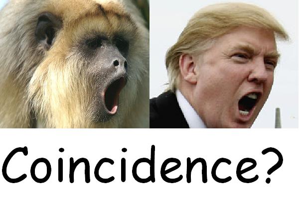 Monkeys By Devilman337 On Deviantart Monkeys By Devilman337 On Deviantart