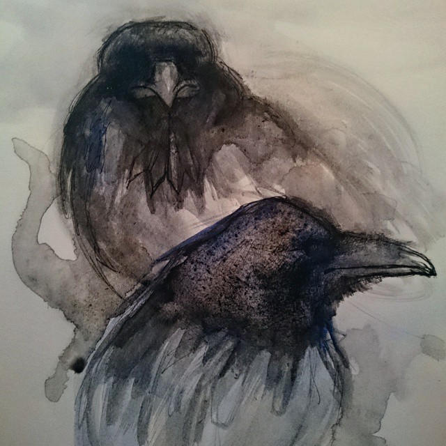 Raven Study by JENROBEY on DeviantArt