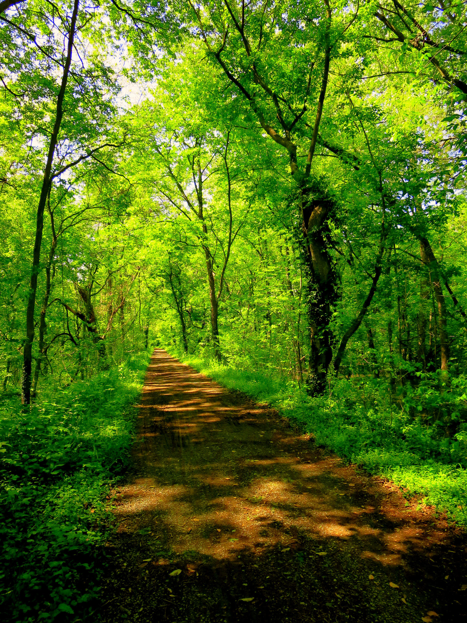 Search Pathweay pathway by Ewbtech on DeviantArt