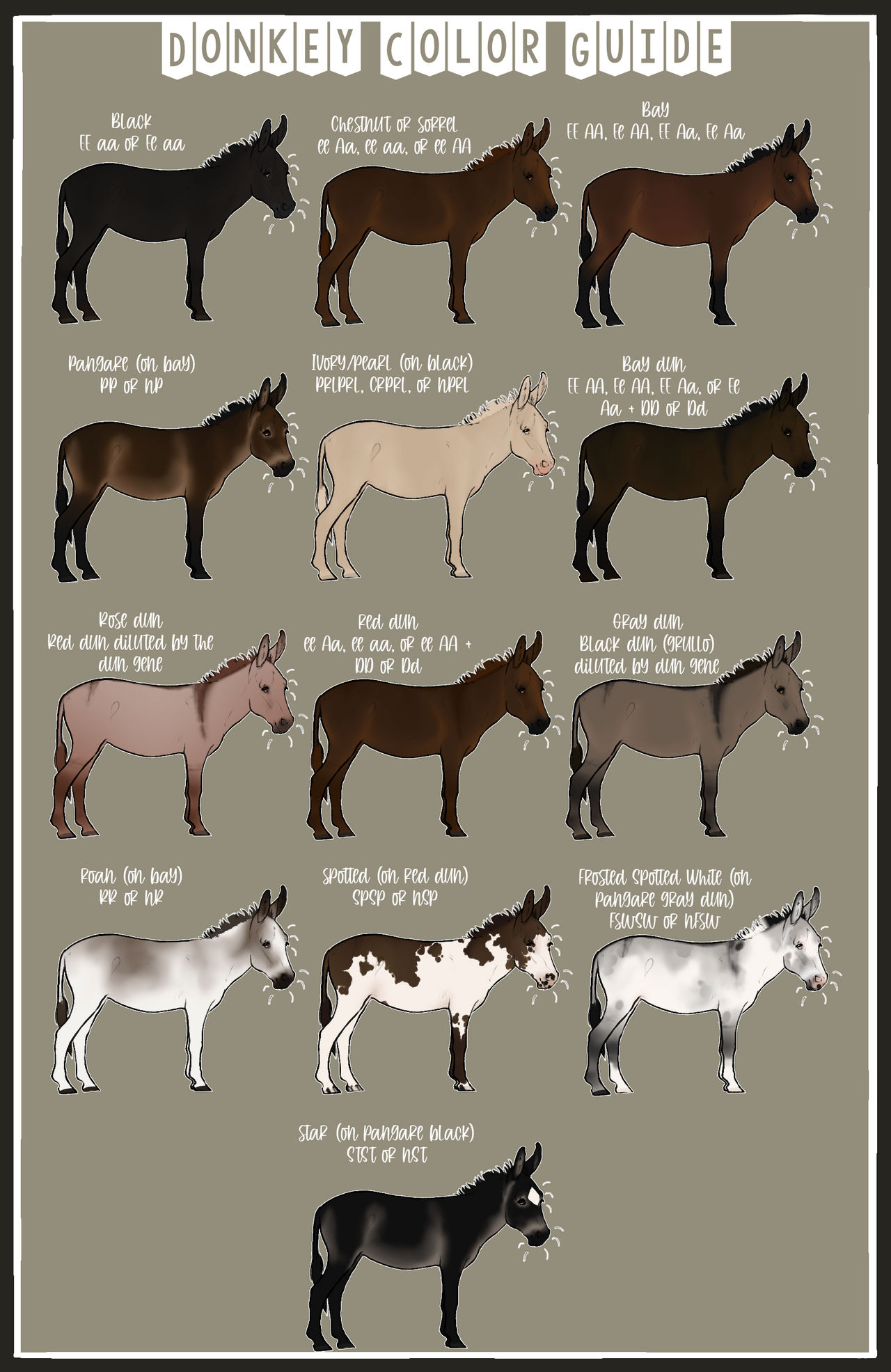 Dunkey Chart a donkey color guide by WesternSpurs on DeviantArt