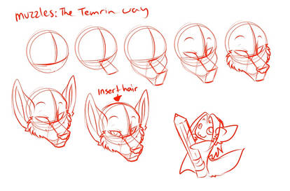 The Temrin Way: Canine Heads