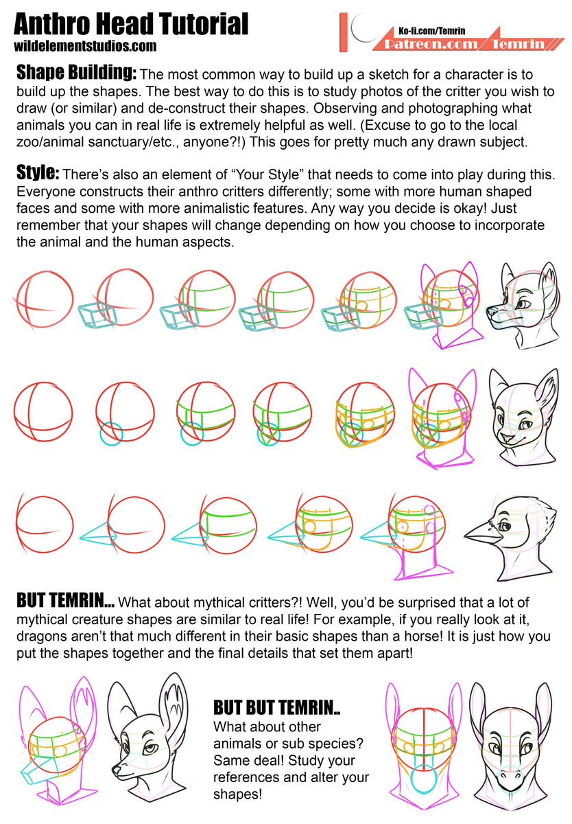 Tutorial - Constructing Anthro Heads by Temrin on DeviantArt