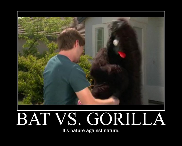 Bat vs Gorilla