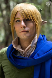 Link