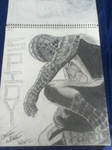 Spider-Man 3 by Vize-kun