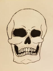 Skull 1