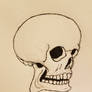 skull 2