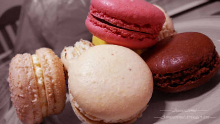 omnomnom macaroons