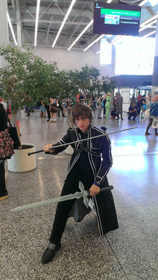 Otakuthon 2014 - Sword art online