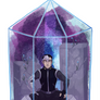 Paladin Terrarium - Black