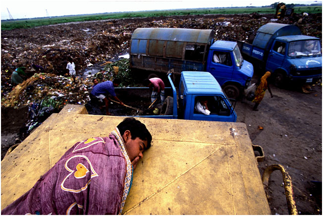 Life at dumpyard 1