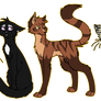 Fav Warrior Cats