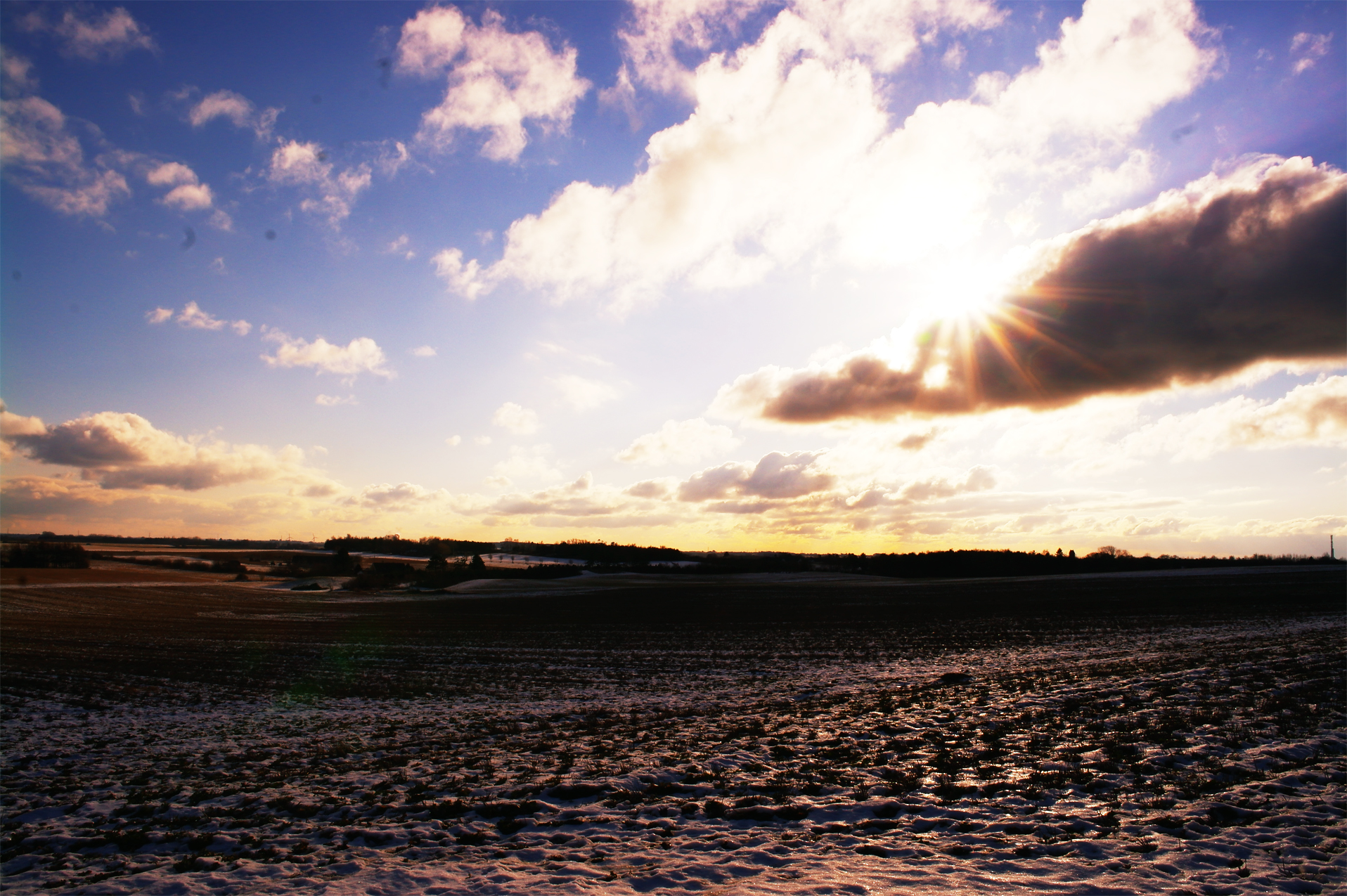 Winter Sky