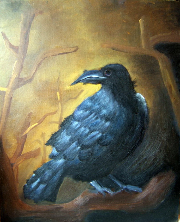 Corvus Corax by Siam