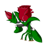 Rose man