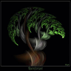 068 - Rainforest
