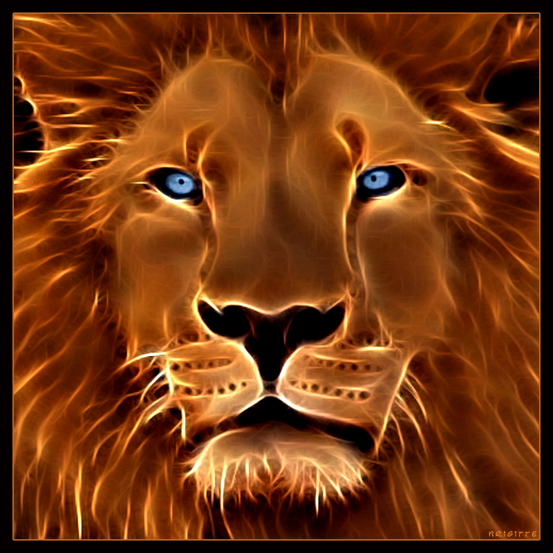 Lion 2