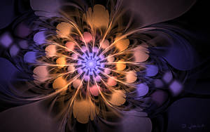 WP Purple and Gold