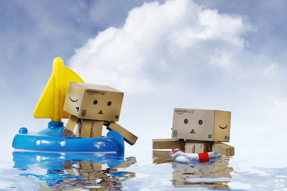 Danbo overboard