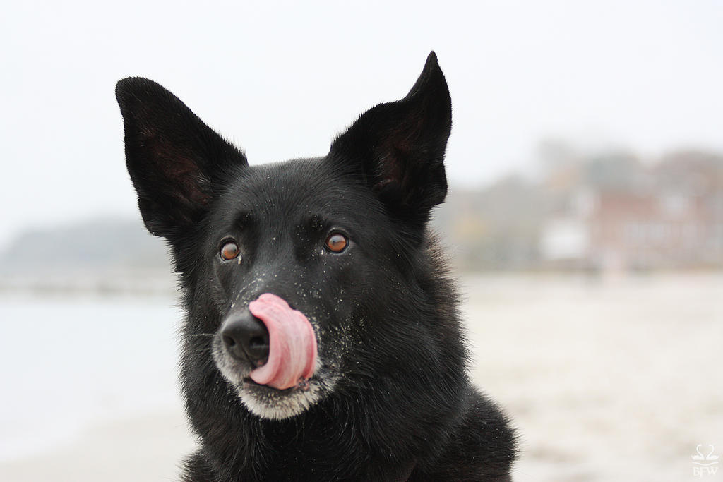 Udo am Strand