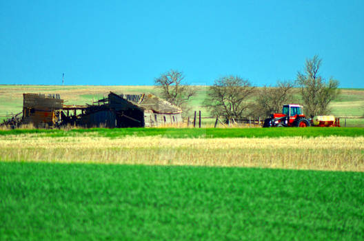 Old Farmland