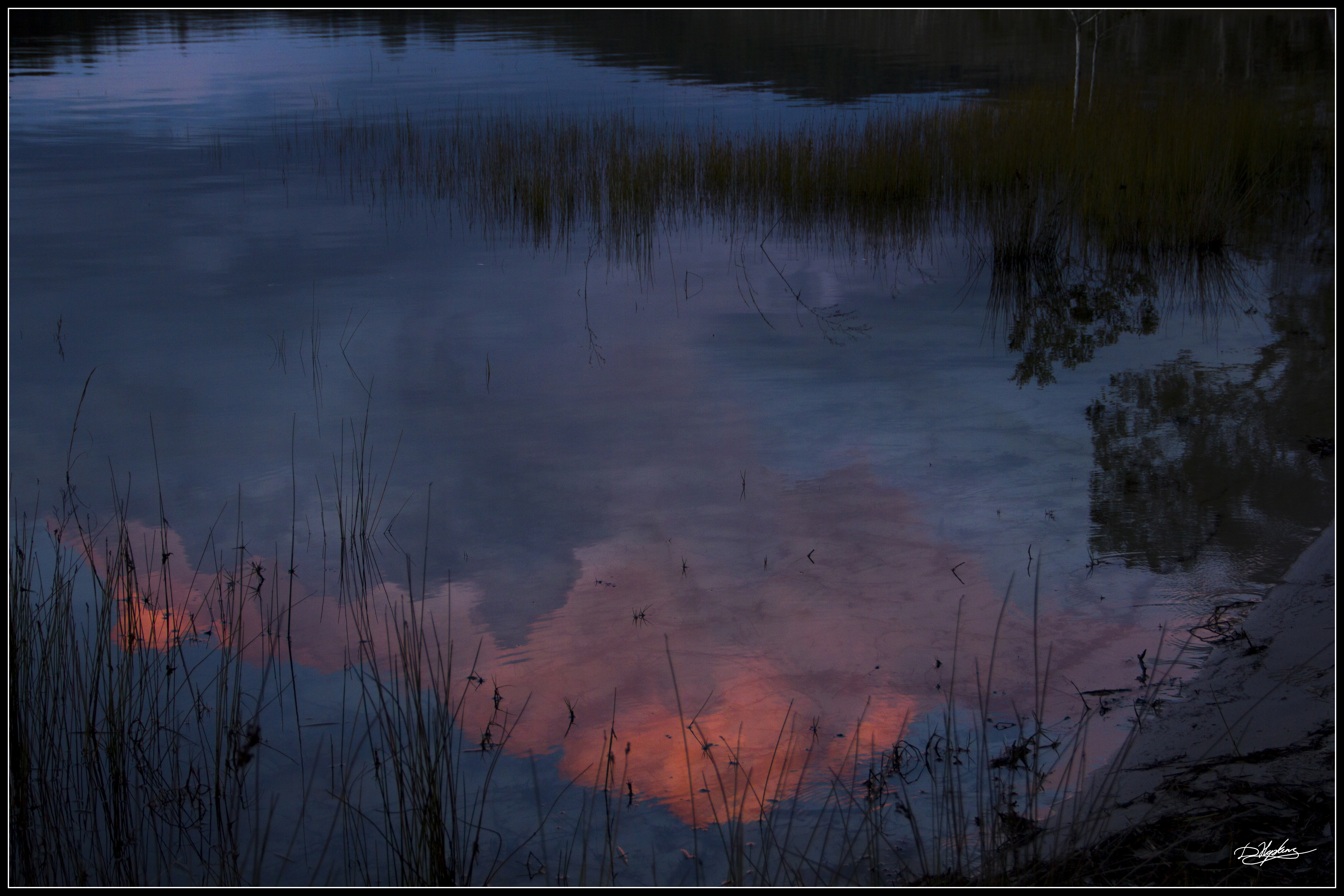 Smiths lake reflection