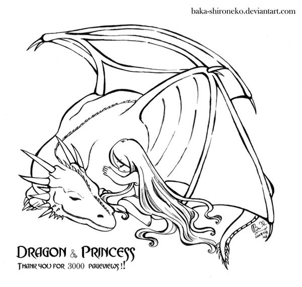 Dragon n Princess