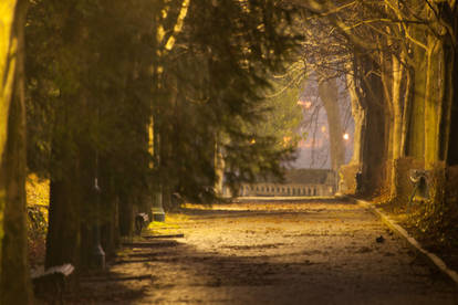 Park in Turin