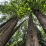 Botanical Garden in Stresa