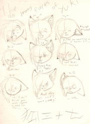 The many faces of Yuki
