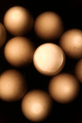 eggs