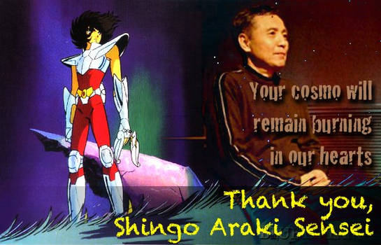 In Memory of Shingo Araki  1939.1.1 -- 2011.12.1