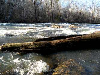 Alcovy River