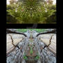Nature Triptych