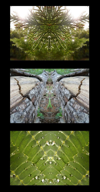 Nature Triptych