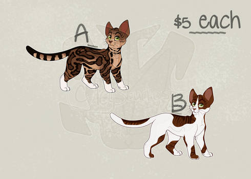 USD Cat Adopts 2 - 2/2 [OPEN]