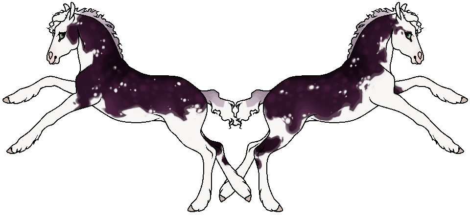 Foal E361 Design