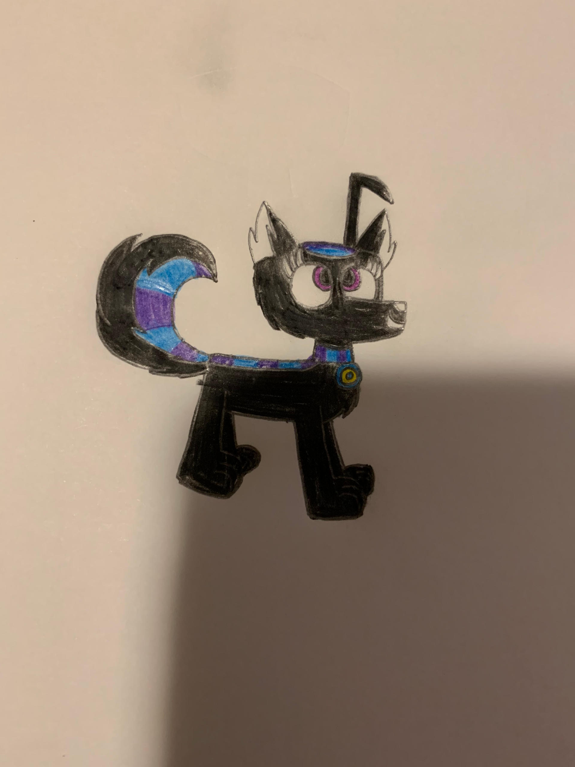 MHS: Husky Puppy Onpoo Drawing