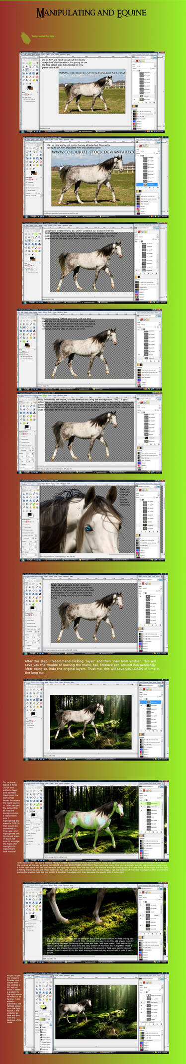 Tutorial: Equine manip. -GIMP-