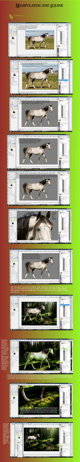 Tutorial: Equine manip. -GIMP-