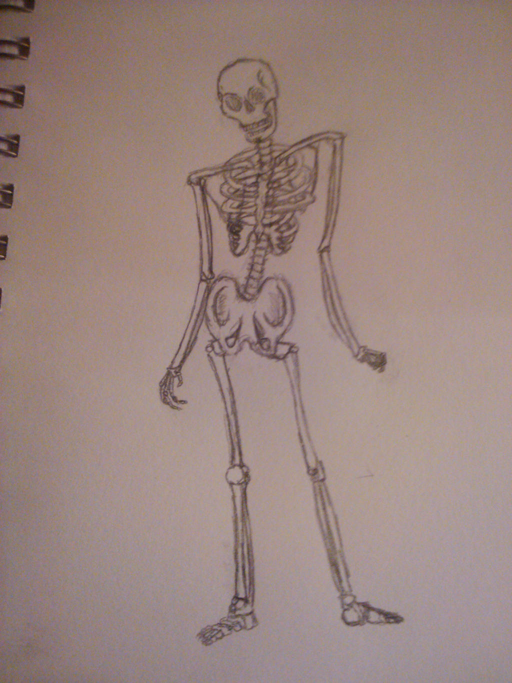 skeleton