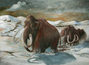 Wooly Mammoth final